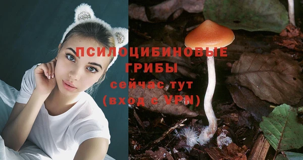 ешки Володарск