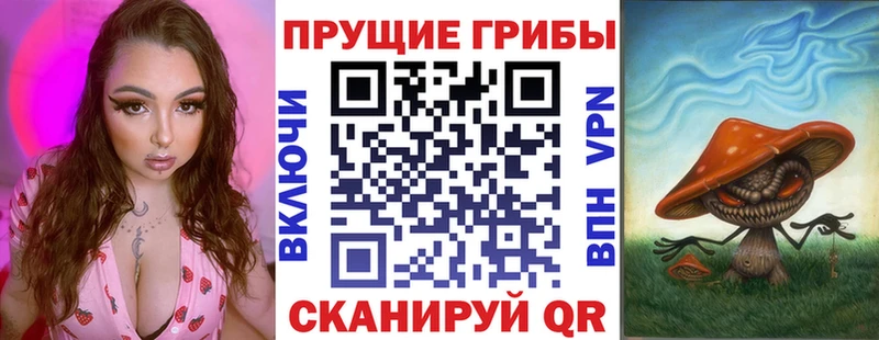 Купить закладки  Когалым  Галлюциногенные грибы Psilocybe 